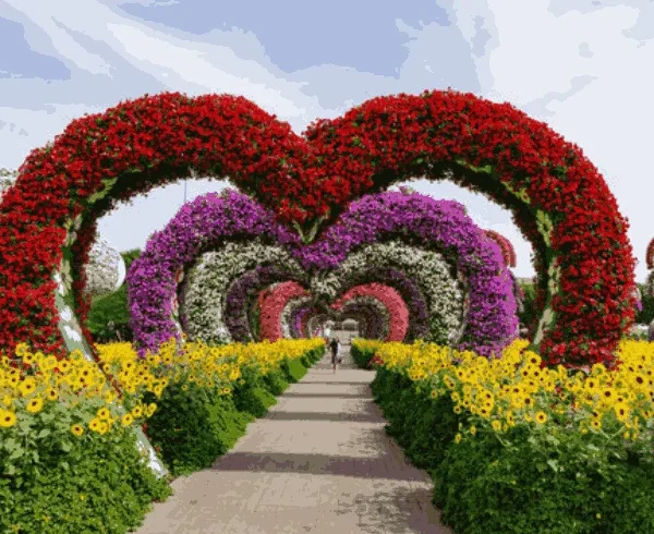 Miracle Garden