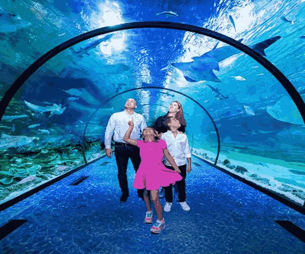 Dubai Aquarium